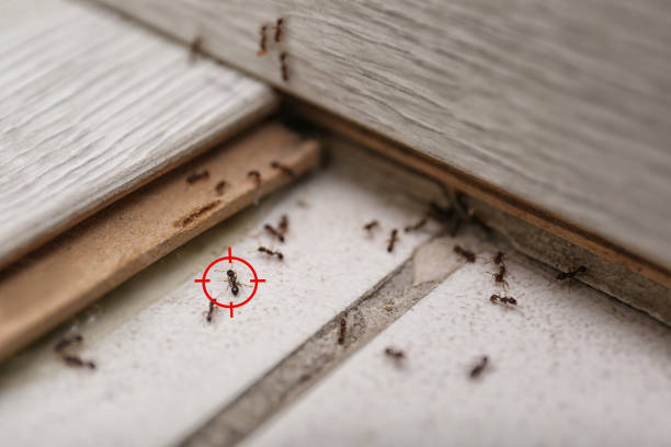 Hudson Oaks, TX Pest Control Company