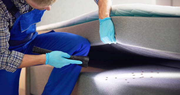 Best Exterminator Services  in Hudson Oaks, TX