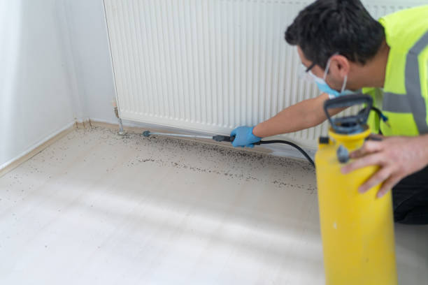 Best Residential Pest Control  in Hudson Oaks, TX