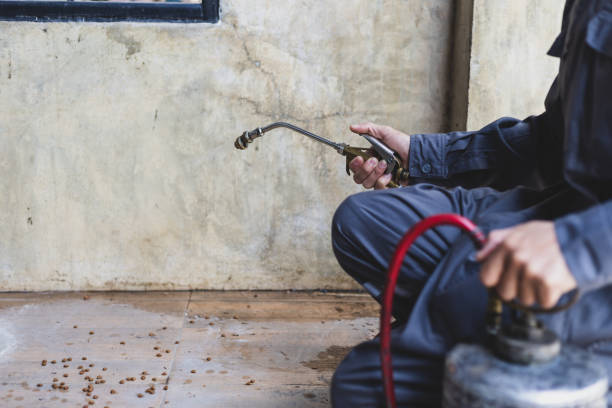 Best Emergency Pest Control  in Hudson Oaks, TX